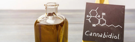 CBD-olie: Een introductie tot natuurlijke ondersteuning Lab of Plants