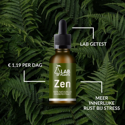 Zen Hemp Extract - 10 ml